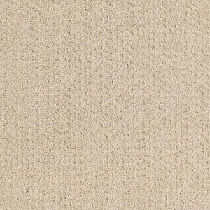 8 in. x 8 in. Pattern Carpet Sample - Katama II -Color Seashore