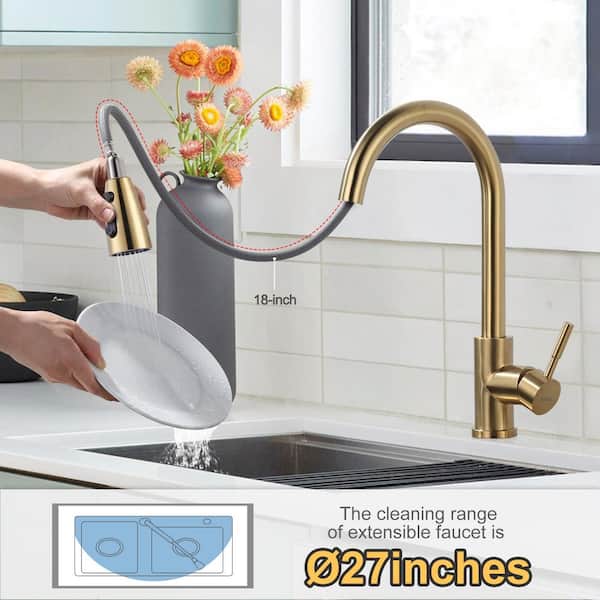 WOWOW Brushed Nickel Single Handle Kitchen Faucet with