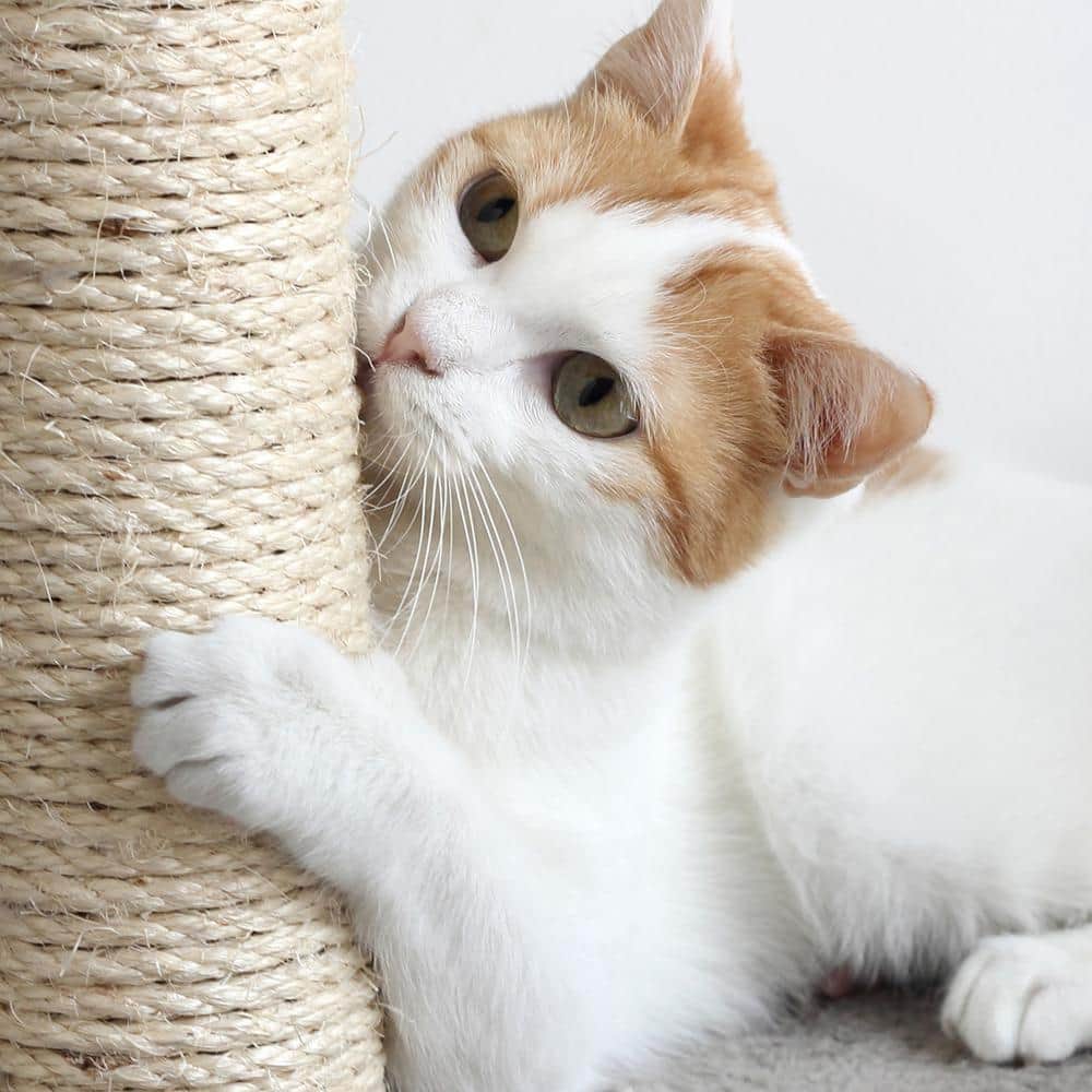 Gray Sisal Rope Cat Condo with Overhead Balcony