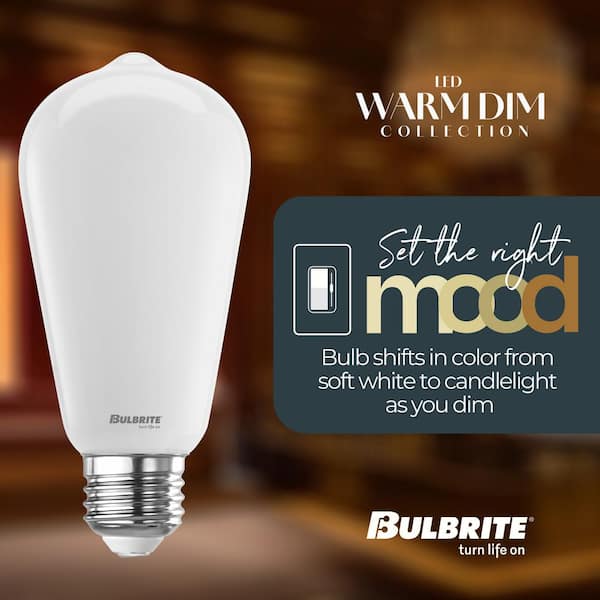 Bulbrite 9-Watt ST18 LED Light Bulbs Warm Dimming 3000K
