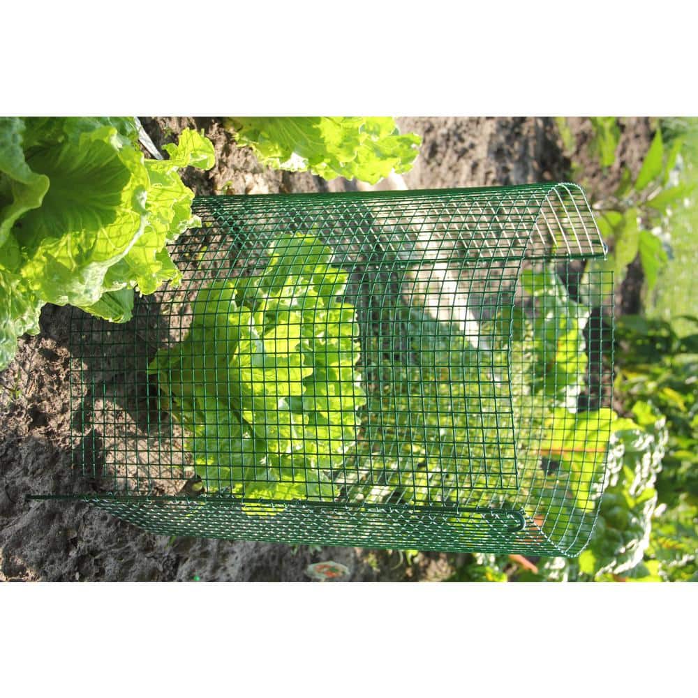 Green Vinyl Coated Expandable Modular Garden Fence Kit