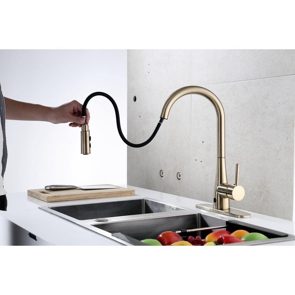 Norwich Matte Gold High-Arc Pull-Down Kitchen Faucet