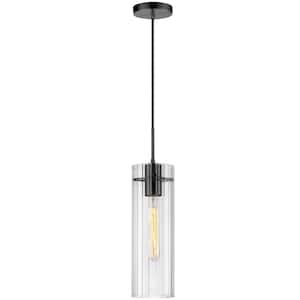 Patia 1-Light Matte Black Shaded Pendant Light with Clear Glass Shade