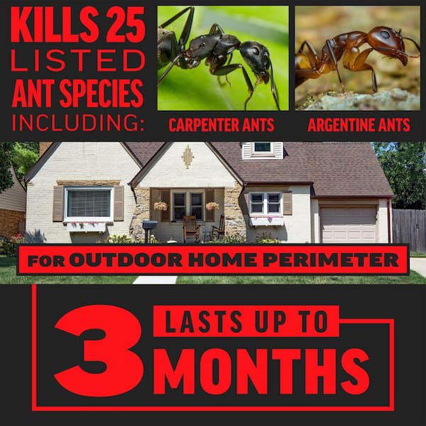 24 oz. 1,080 lin. ft Outdoor Ant and Fire Ant Killer Granule Bait for Home Perimeters, 3-Month Control