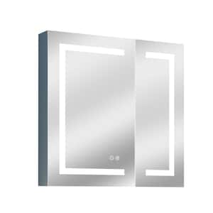 Edison 30 in. x 30 in. Rectangular Medicine Cabinet with Mirror