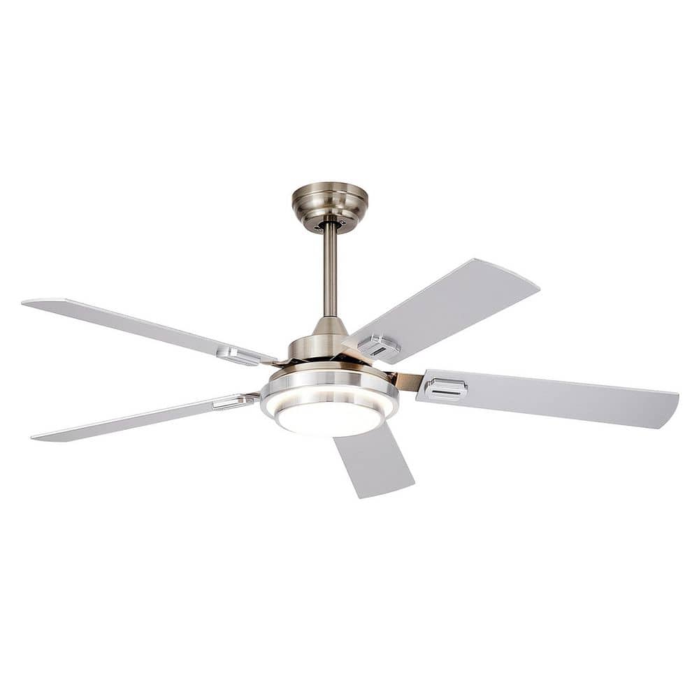 Dovanpaul 52 in. White Brush Nick Fan Light 5 Blade Dual Finish