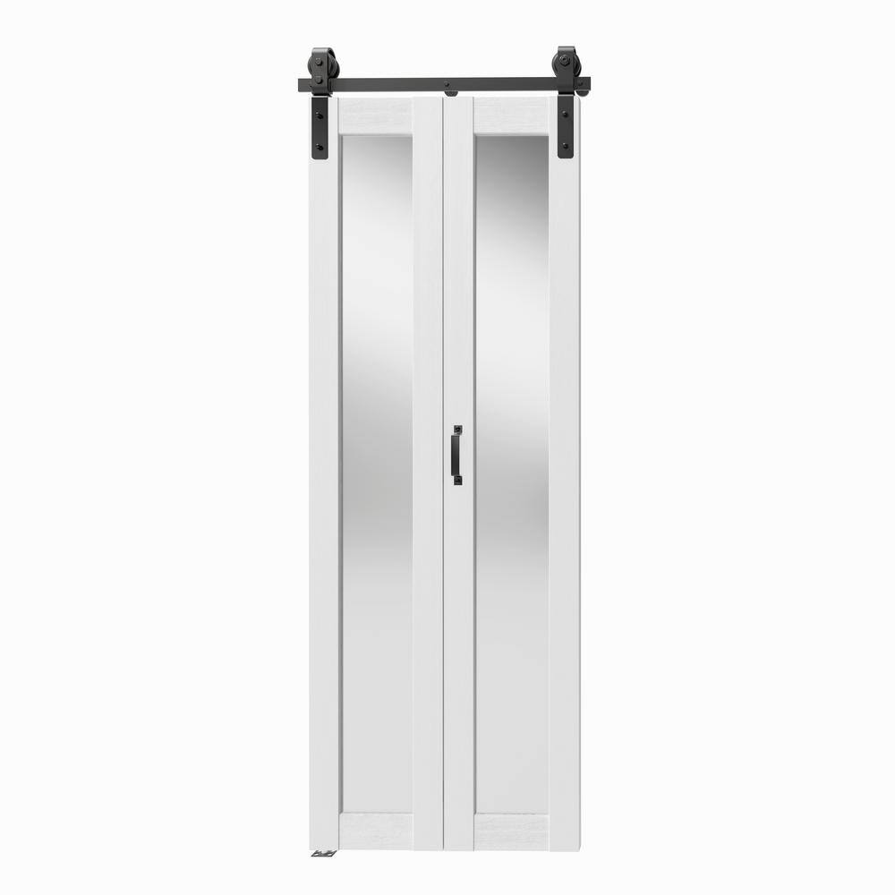 Reviews for TENONER 30 in. x 84 in. Mirrored Glass, White, MDF, BiFold