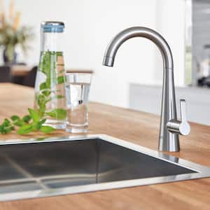 Zedra Single-Handle Beverage Faucet (Cold Water Only) with Filter Function in SuperSteel Infinity Finish
