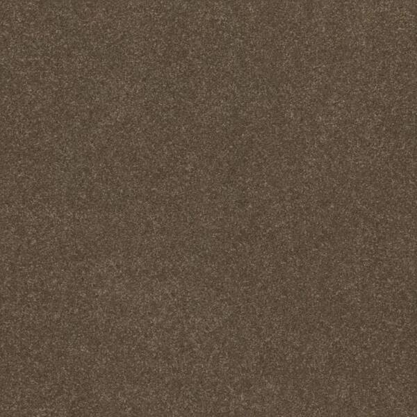 Home Decorators Collection 8 in. x 8 in. Texture Carpet Sample - House ...