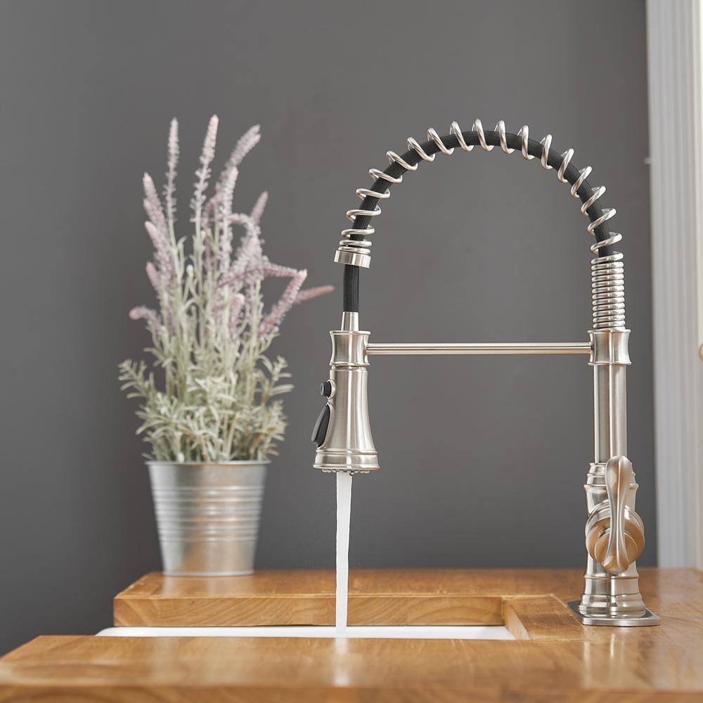 Brushed Nickel Single-Handle Pull-Down Sprayer Kitchen Faucet