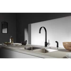 Concord Single-Handle Standard Kitchen Faucet with Side Sprayer in Black and Chrome