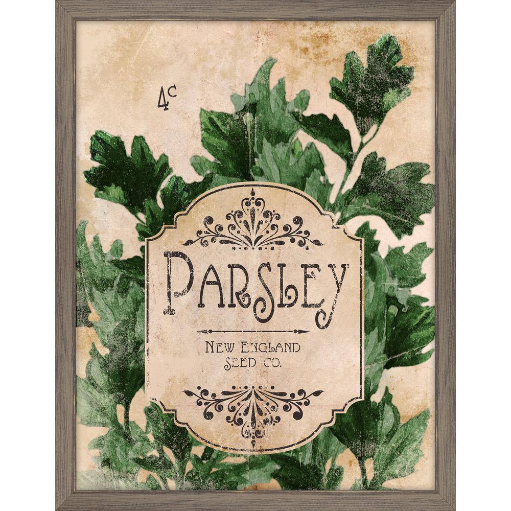 Melissa Van Hise Seed Packet Parsley Framed Giclee Vintage Art Print 15 In X 19 In Ip The Home Depot