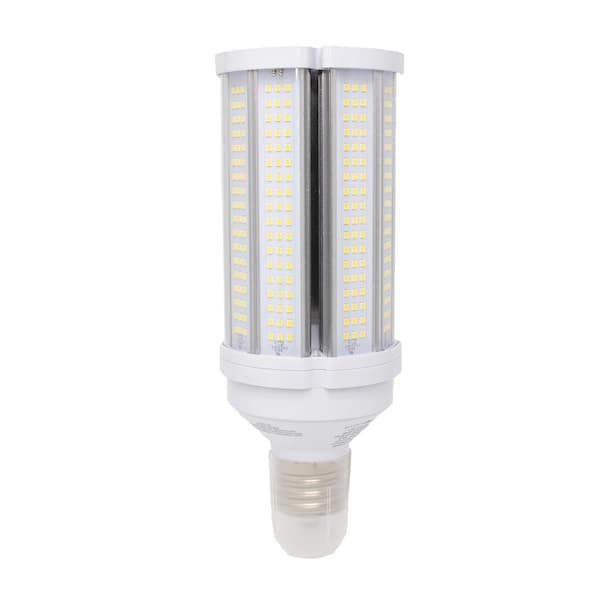 Tether Prestatie Parelachtig AM CONSERVATION 200-Watt Equivalent HID T30 Corn Cob LED Light Bulb 5000K  in Daylight (1-Pack) L54CB50EX39-1 - The Home Depot