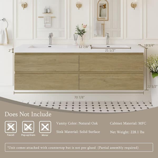 Abruzzo Angela 72 in. W x 18.7 in. D x 20.5 in. H Wall Mounted