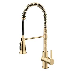 Britt 2-in-1 Commercial Style Pull-Down Single Handle Water Filter Kitchen Faucet in Brushed Gold