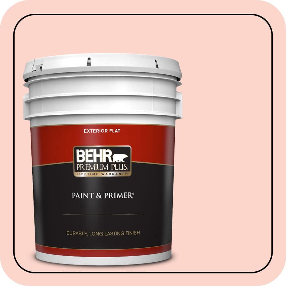 5 gal. #190A-2 Coral Mantle Flat Exterior Paint & Primer product image for price tracking