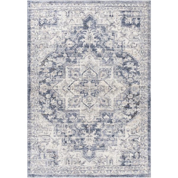 Dominga Blue 4 ft. x 6 ft. Indoor Area Rug