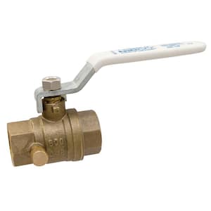 1/2 in. Brass Lead-Free Threaded Two-Piece Full Port Ball Valve with Drain