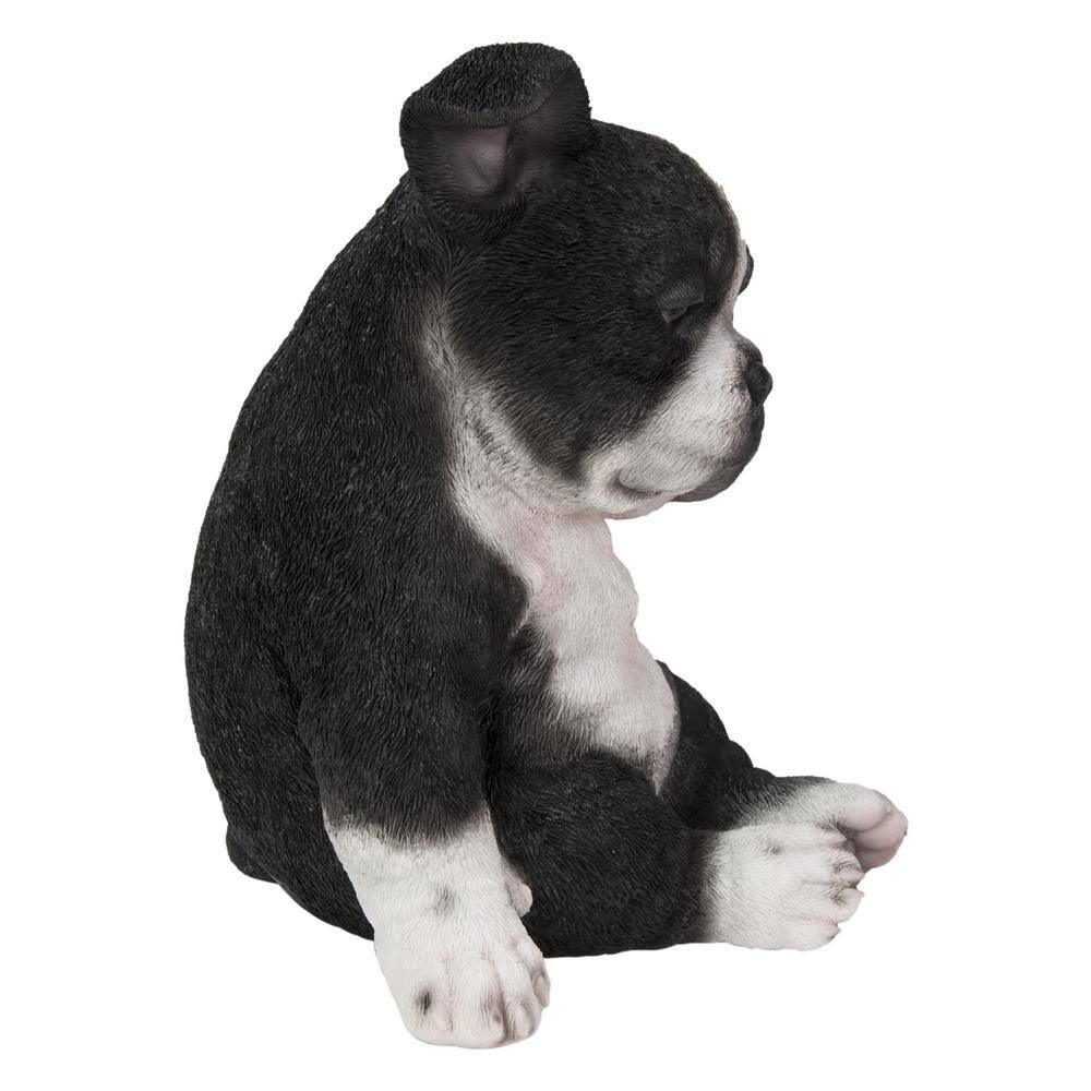 Sleepy Black and White Boston Terrier Puppy Polyresin Statue