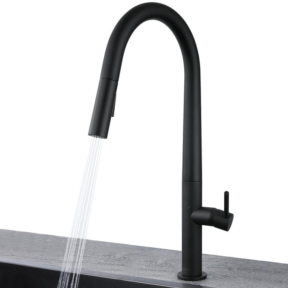 Matte Black Pull-Down Single Handle Kitchen Faucet with Spray