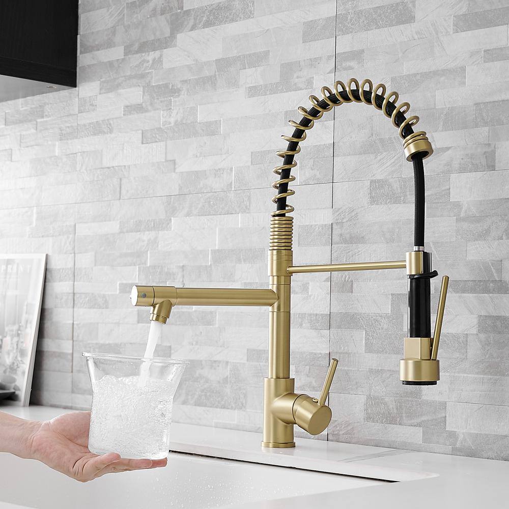 Brushed Gold Brass Pull-Down Kitchen Faucet with Spray