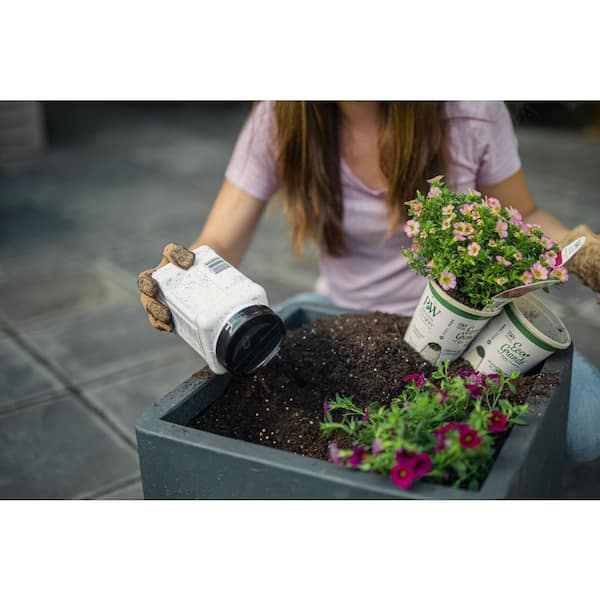 PROVEN WINNERS 4.25 in. Eco+Grande Goodhearted Tomato