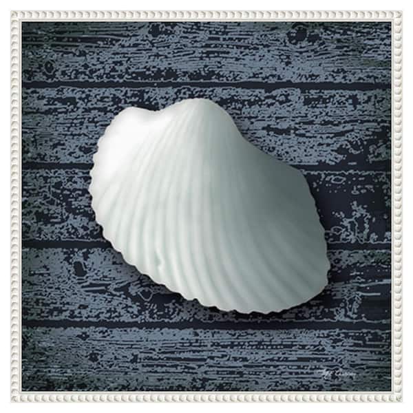 Amanti Art Seashore Shells Navy I by Marie Elaine Cusson 22 in. W x 22 in. H. Canvas Wall Art Print Framed in White