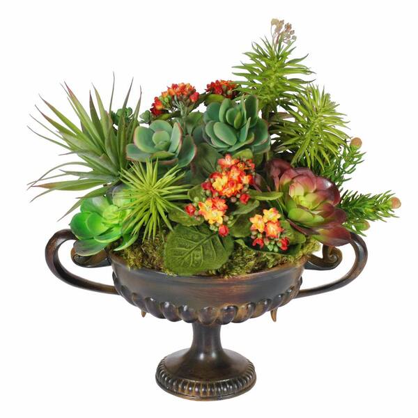 Unbranded Succulent Mixed Design in Metal Handled Urn
