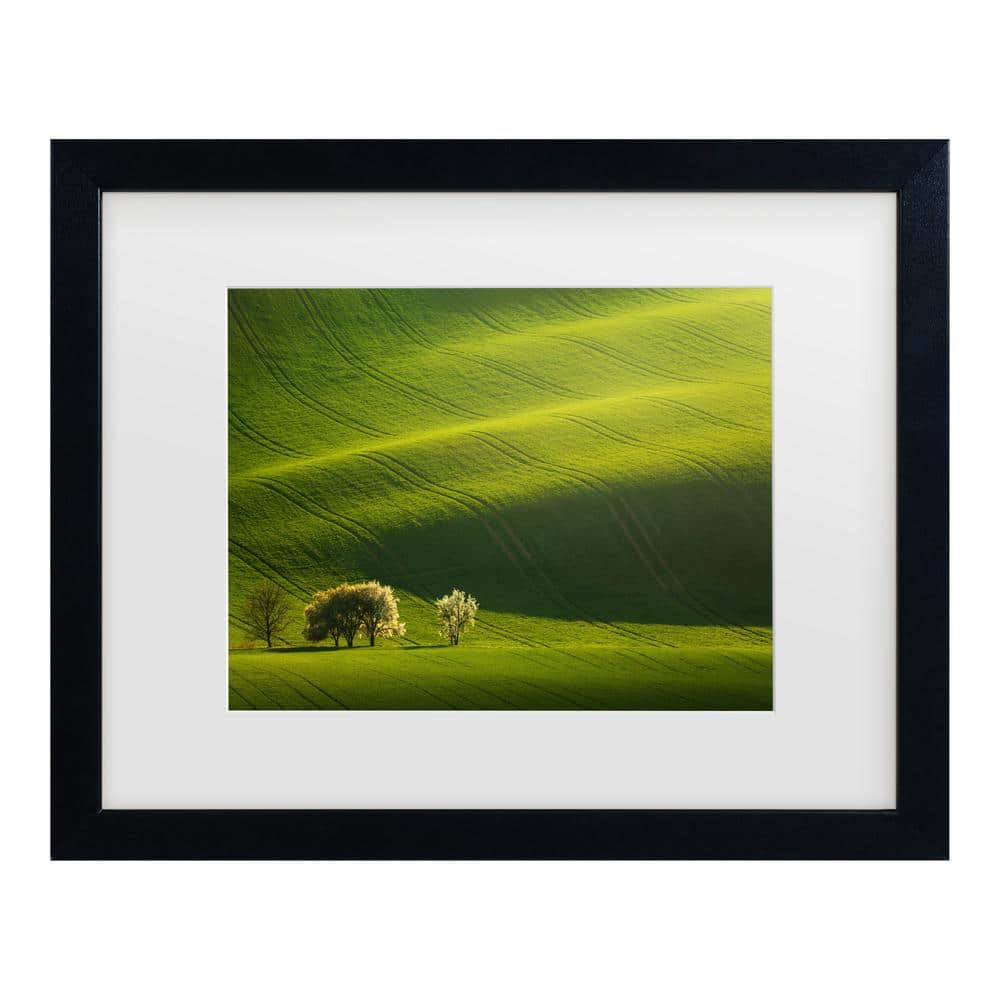 Daniel Rericha Moravian Waves Matted Framed Photography Wall Art 13 in. x 16 in. price history on PriceWatchPro