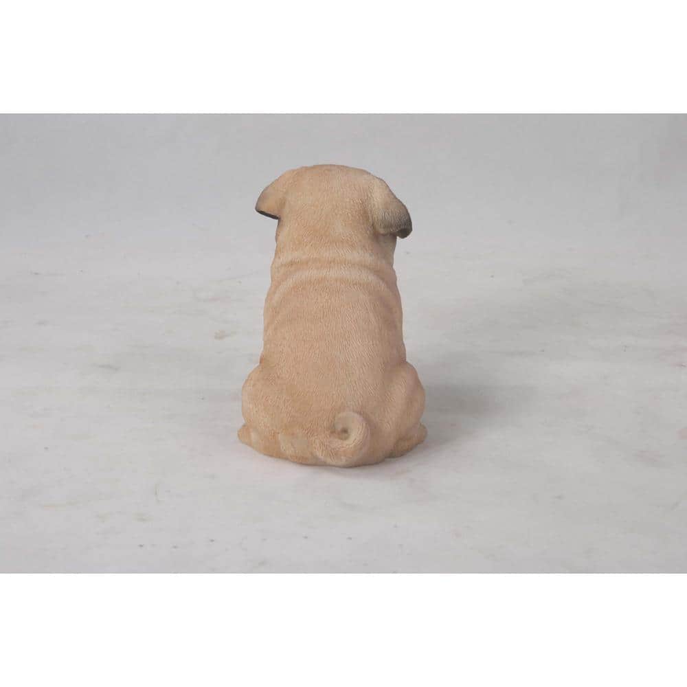 Realistic Tan and Black Sitting Pug Puppy Statue