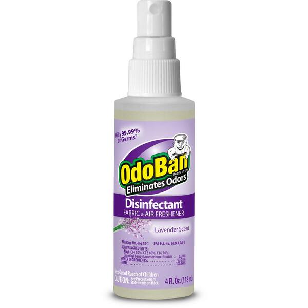 OdoBan 32 oz. OdoRocks Natural Volcanic Rock Odor Eliminator, Unscented  Non-Toxic Rechargeable Odor Absorber Bag for Car & Home 979561-2P - The  Home Depot