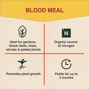 3 lbs. Organic Blood Meal Plant Food, OMRI Listed, 12-0-0