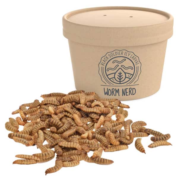 Arcadia Garden Products Dry Wildlife Food Black Soldier Fly Small Larvae (2000-Pack)