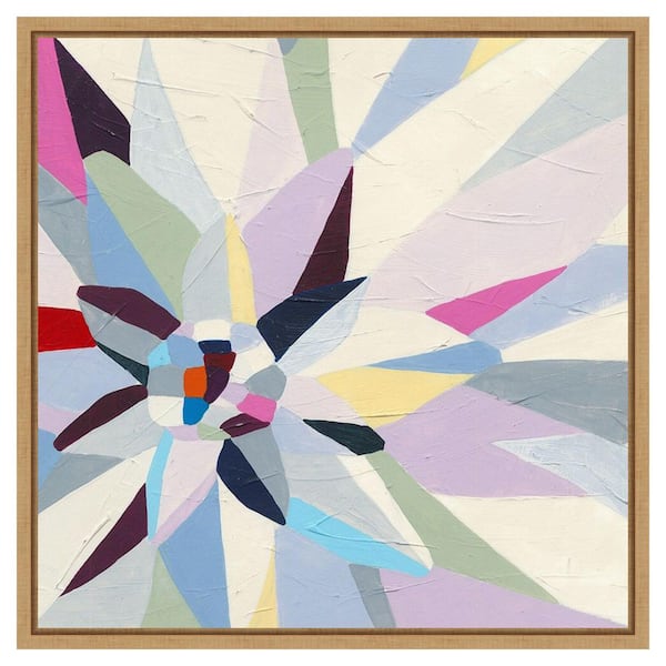 Amanti Art Geometric Dahlia I by June Erica Vess 1 Piece Floater Frame Canvas Giclee Abstract Art Print 22 in. x 22 in.