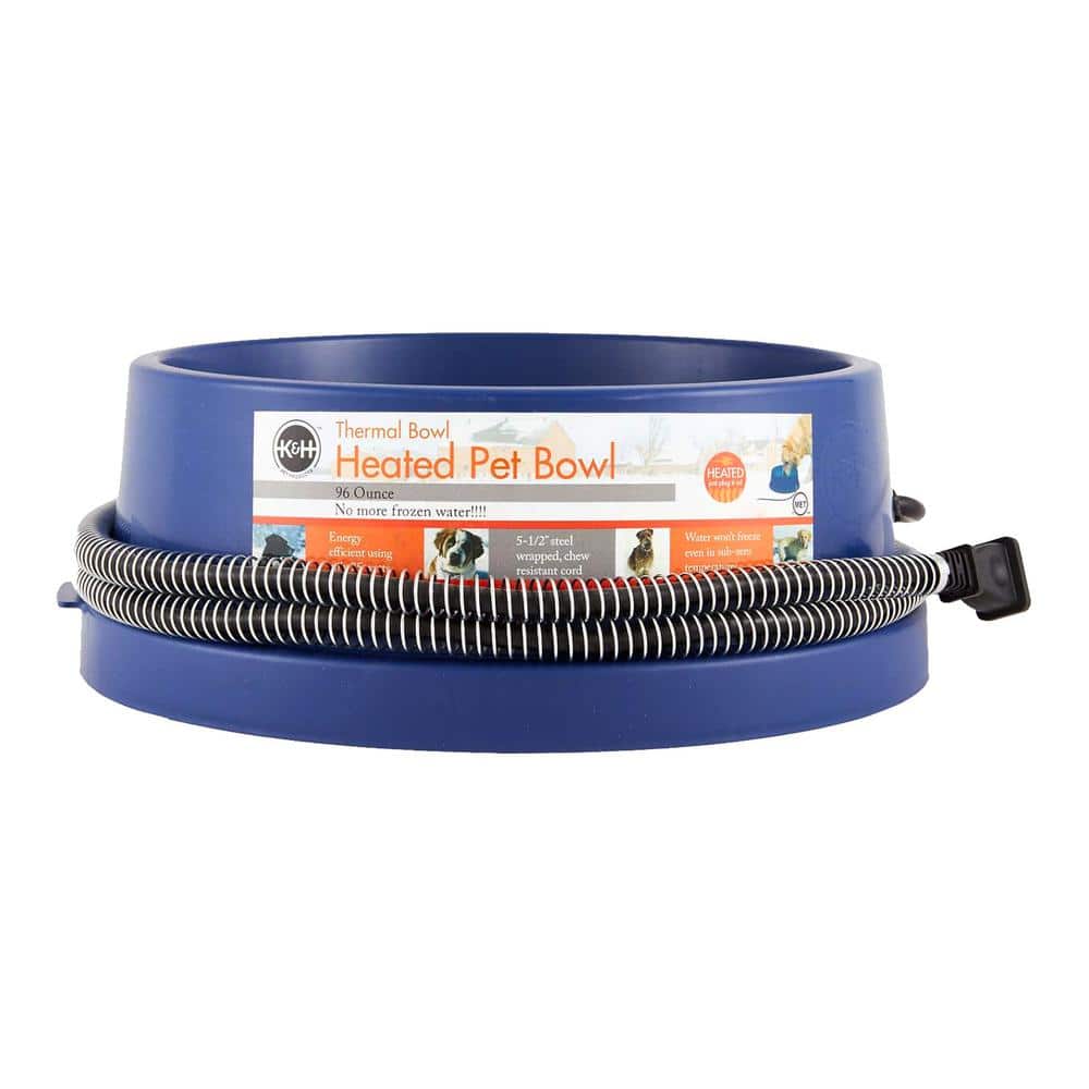 Blue Stainless Steel Heated Pet Water Bowl, 96 Ounces