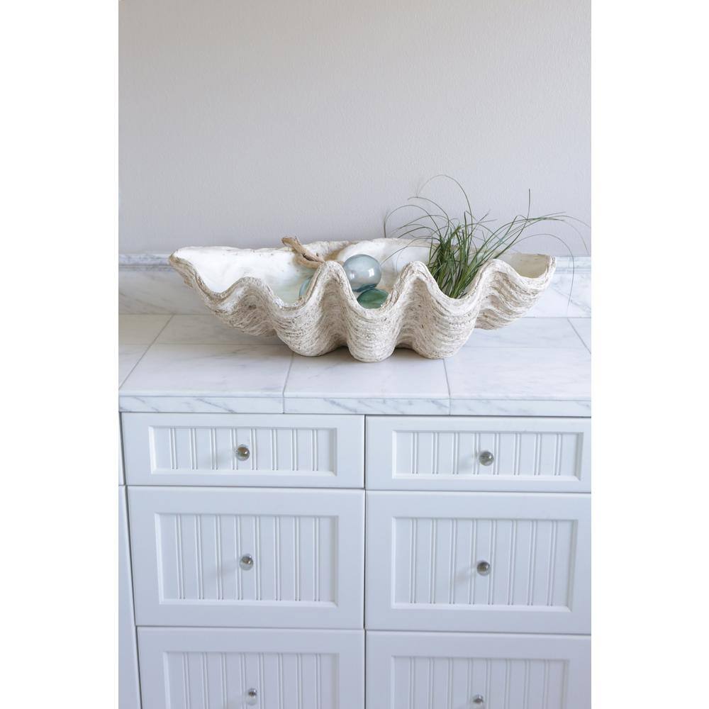 Large White Magnesia Seashell Decorative Bowl