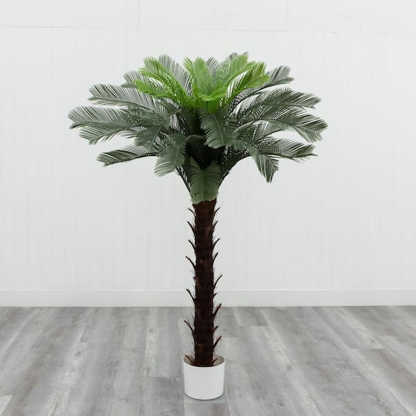 5.9 ft. Artificial Cycas Tree in White Pot