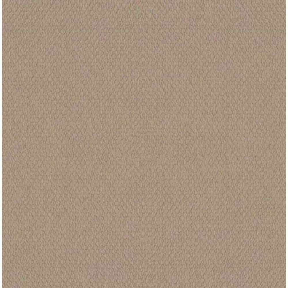 Home Decorators Collection 8 in x 8 in. Loop Carpet Sample - Hickory Lane - Color Rattan -  HDF4646110