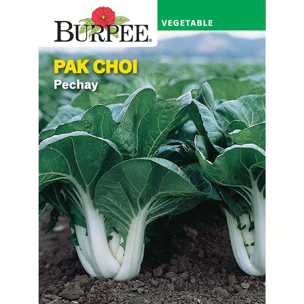 Burpee Garden Pak Choi Pechay Vegetable Seed 69129 - The Home Depot