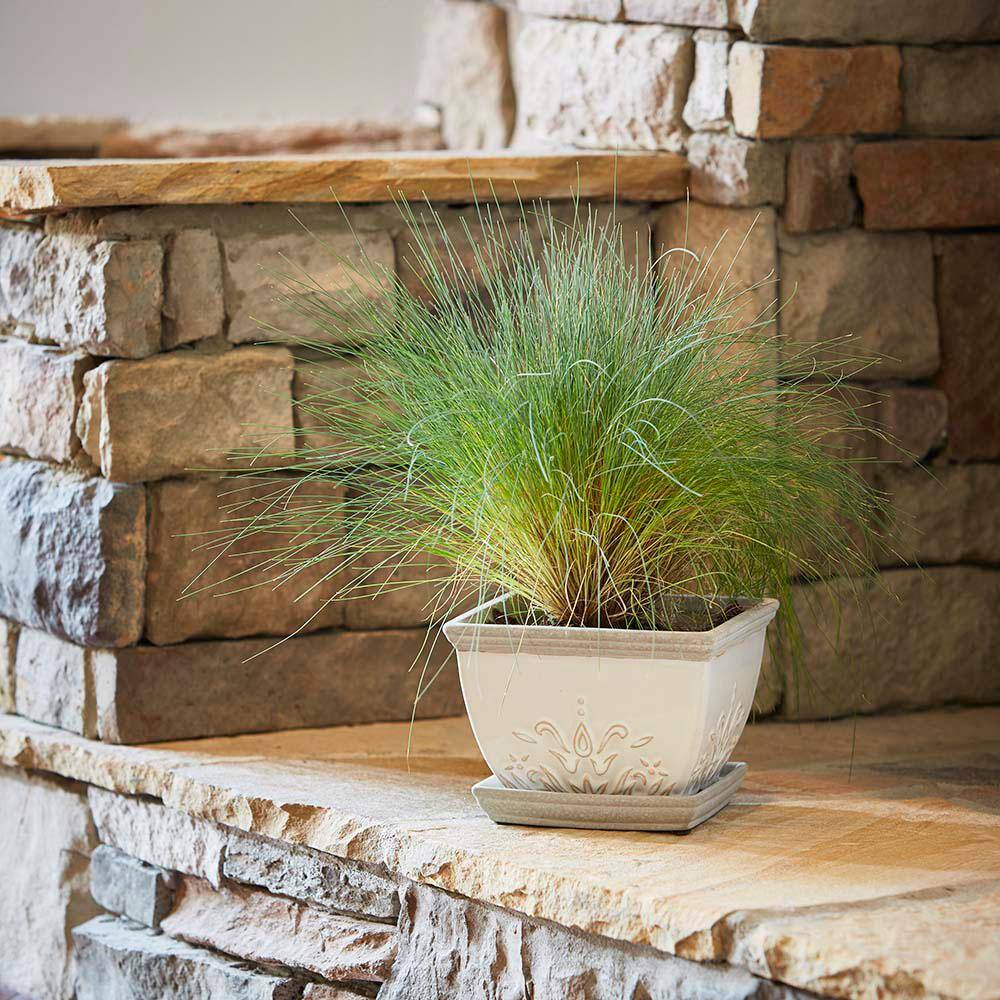 Brentwood White Ceramic Indoor/Outdoor Planters with Saucers, Set of 2