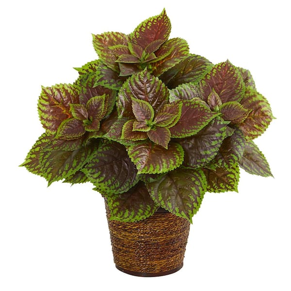 Nearly Natural 16 in. Coleus Artificial Plant in Basket (Real Touch)