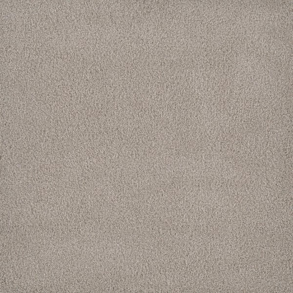 Engineered Floors 8 in. x 8 in. Texture Carpet Sample - Sawyer - Color Noble