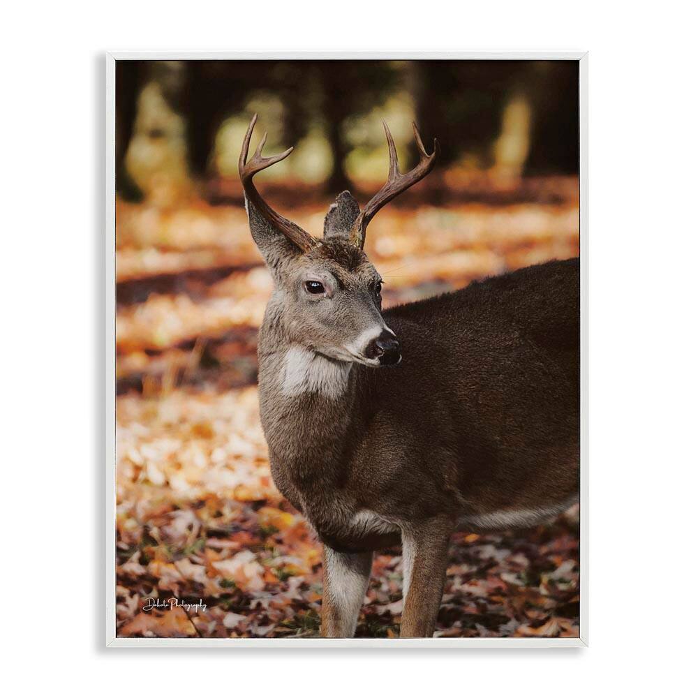 Deer in Fall Foliage by Dakota Diener White Framed Graphic Animal Art Print 16 in. x 20 in. price history on PriceWatchPro