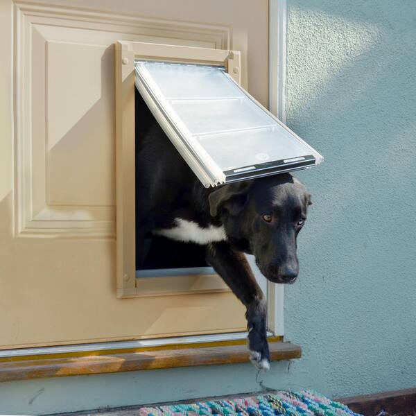 dog doors home depot