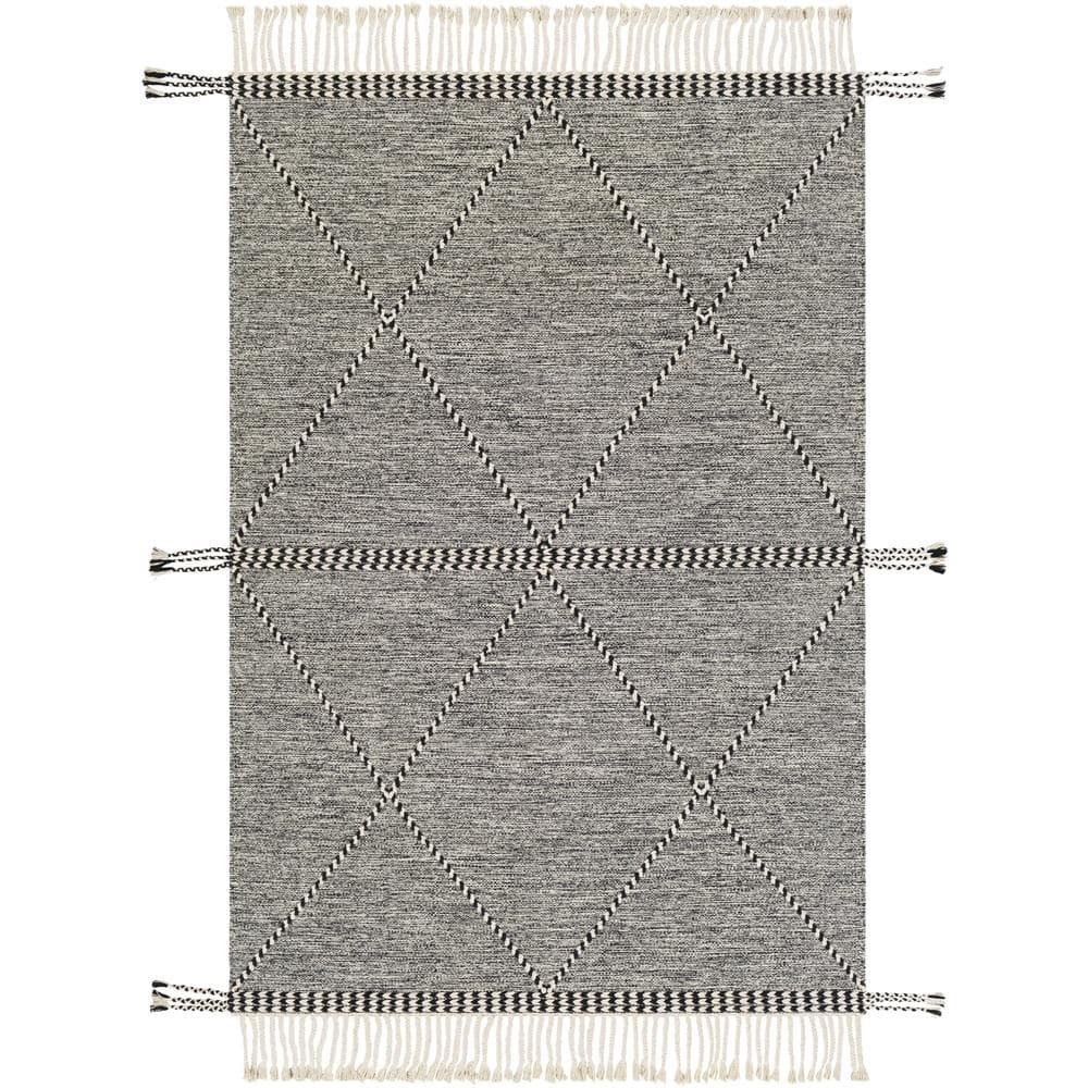 Zanafi 5 ft. x 7 ft. Black Solid Color Indoor Area Rug price history on PriceWatchPro