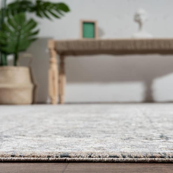 Sonoma Vintage 2 ft. x 3 ft. Gray Polyester Area Rug