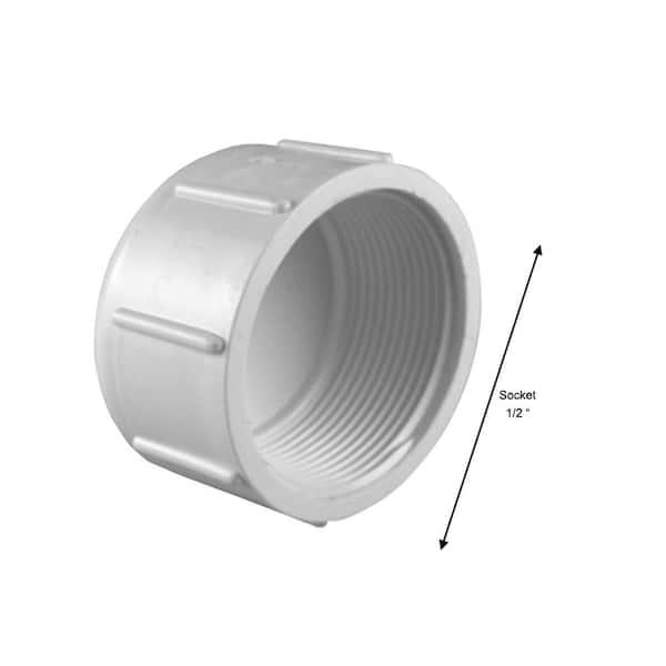 Stainless Steel Pipe Fitting, Pipe Cap, 1/2 in. Female NPT