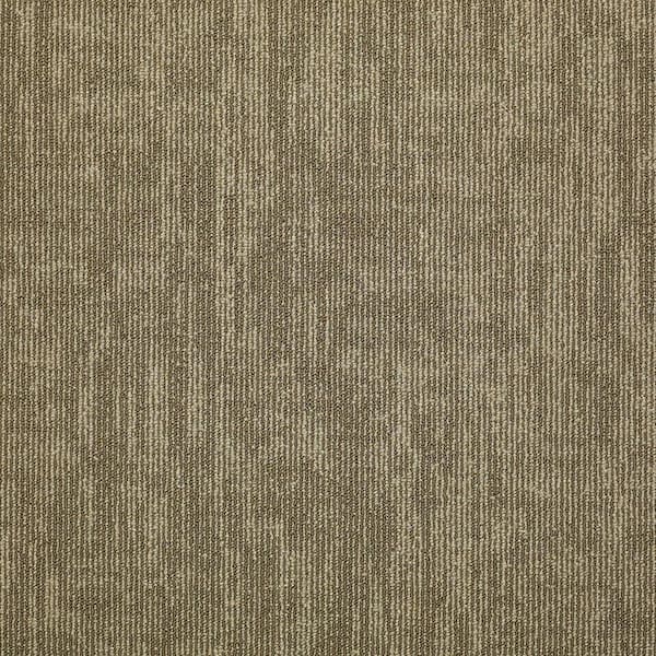 Shaw Graphix - Khaki - Brown Residential 24 x 24 in. Glue-Down Carpet Tile Square (48 sq. ft.)
