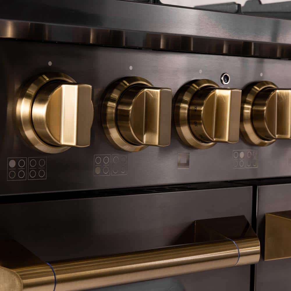 Gemstone 48-in Titanium Stainless Steel Gas Range with Gold Accents