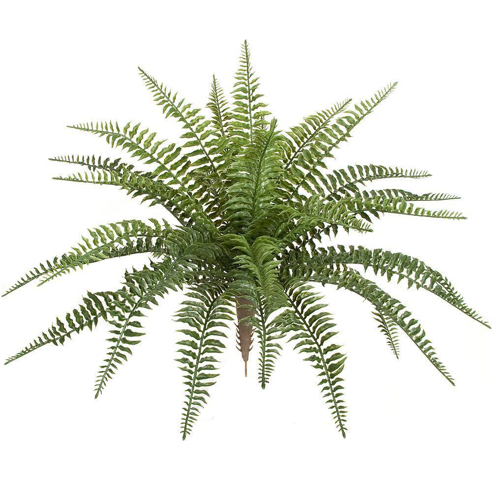 23 in. x 30 in. Plastic Outdoor Small Boston FernEF130 The Home Depot